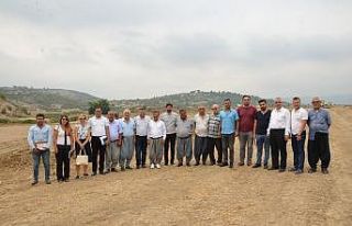 Tarsus’ta ilk kez İncir Şenliği düzenlenecek