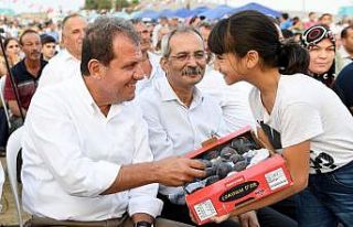 Tarsus’ta İncir Şenliği coşkusu