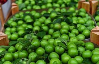 Temmuz’da eriğin fiyatı yüzde 41.44 düştü