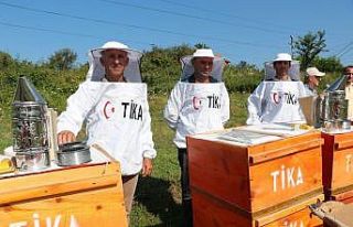 TİKA’dan Arnavutluk’a arıcılık alanında destek