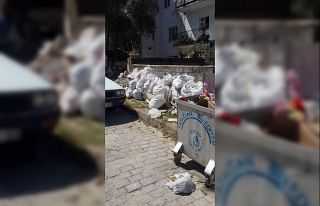 Toksöz: “Çevreyi temizlemek bizim, korumak ise...