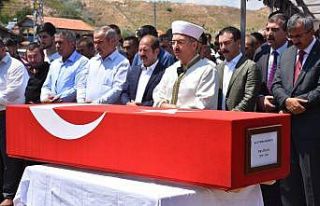 Trafik kazasında hayatını kaybeden uzman çavuş...