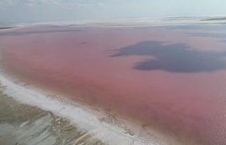 Tuz Gölü pembe renge büründü