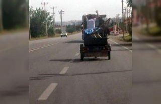 Üç tekerlekli motosiklette oynayarak yolculuk yaptılar