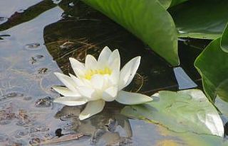 Ulusal öneme haiz sulak alan sayısı 56’ya yükseldi