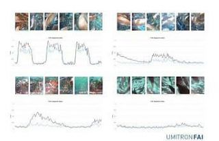 UMITRON, Fish Appetite Index’i piyasaya sürdü