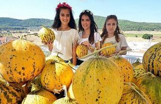 Urla’da merakla beklenen kavun festivali başlıyor