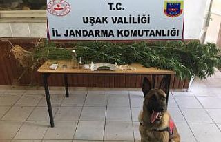 Uşak’ta uyuşturucu operasyonu