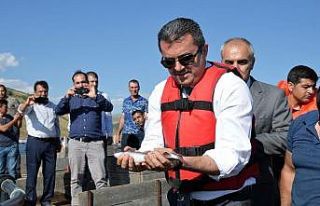 Vali Memiş, elleriyle balıkları besledi