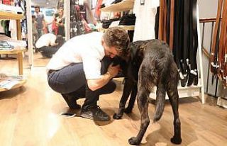 Vuran kaçtı, O sarılarak acısını dindirmeye...