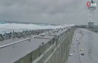 Wipha tayfunu Vietnam'ı vurdu: 5 ölü