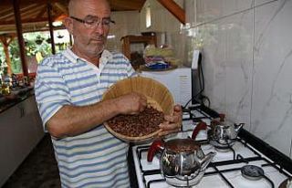 Yakacak olarak kullanılan fındık kabuğundan çay...