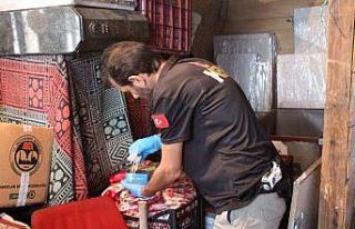 Yalova polisinden şafak baskını