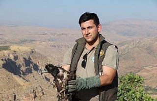 Yaralı akbaba tedavi edilerek doğaya salındı