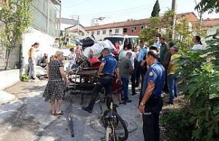 Yaralı atı sahibinin elinden izne gelen uzman çavuş...