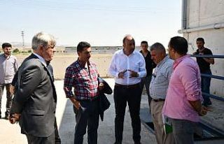 Yatırımcılar Sincan’daki Hayvancılık Bölgesi’ni...