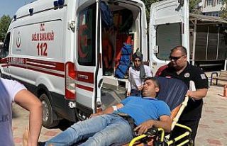 Yılanın soktuğu kişi hastaneye kaldırıldı