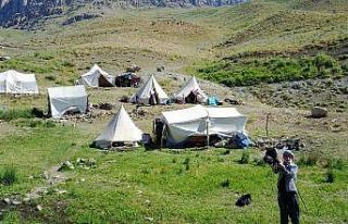 Yıllardır gidilemeyen yaylalarda silah sesi yerini...