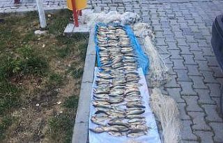 Yol kontrolünde yakalanan kaçak balıkçılara para...