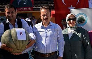 30 kiloluk kabak 20 bin liraya alındı