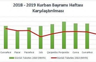 5 günlük bayram tatilinde Türkiye’deki elektrik...