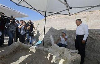 7,5 milyon yıl önce filler ve zürafaların olduğu...