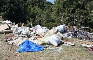 Adabaşı mevkisine atılan çöpler rahatsızlık...