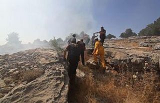 Adıyaman’da orman yangını