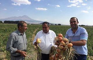 Aksaray’da alternatif ürün üretimi 3 kat artırıldı