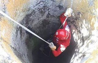 AKUT kuyuya düşen tilki için seferber oldu