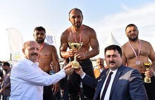 Altıeylül güreşlerinde Ali Gürbüz başpehlivan...