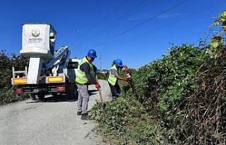 Altınordu’da yol güvenliği için ağaçlar budanıyor