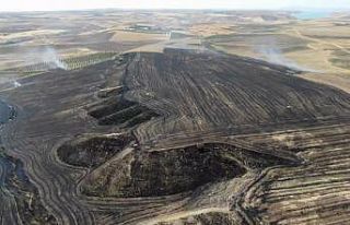 Anız yangını bahçelere sıçradı