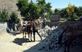 Araçların giremediği yerlere katırlarla taş taşındı