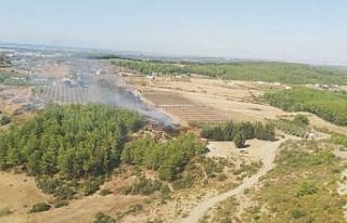 Arap Beleni’nde çıkan yangın, ormana ulaşmadan...