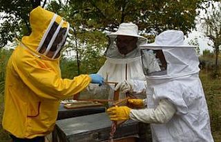 Arı zehri üretim kursu yapıldı