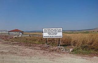 Aslanapa’da hububat alım merkezi oluşturuldu