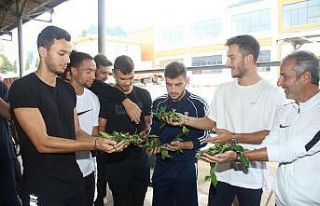 Atmacalar çayı yerinde inceledi