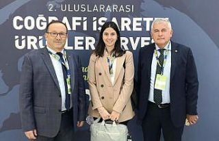 Aydın Kestanesi zirvede