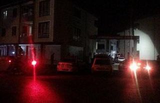 Babasının tabancasıyla oyun canından etti