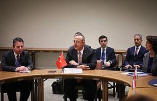 Bakan Çavuşoğlu, Ürdün Dışişleri Bakanı Safadi...