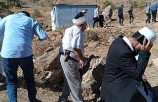 Bal sezonu açılış programında arı saldırısı