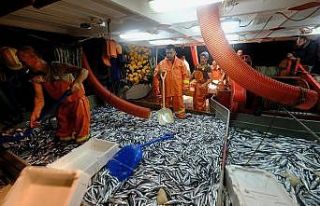 Balık avı sezonu açıldı, Başkan Günel balıkçılarla...