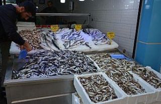 Balıkçı esnafı satışlardan memnun değil