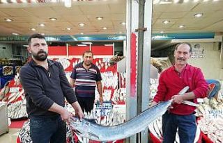 Balıkçı Oktay Yılmaz:”Kalbe iyi gelen omega...