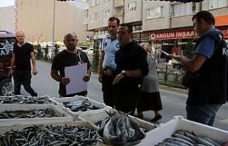 Balıkçılara sıkı denetim