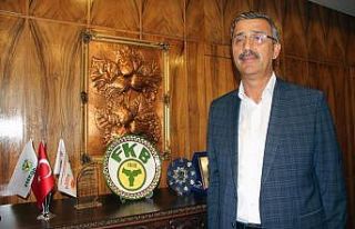 Bayraktar, fındık fiyatının düşüş nedenlerini...