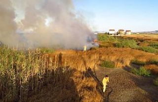 Biga’da sazlıkta çıkan yangın korkuttu