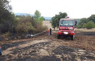 Bilecik’te anız yangını