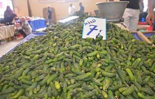 Bilecik’te turşuluklar tezgahlarda yerini aldı